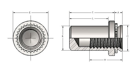 Spiralock Blind Nuts